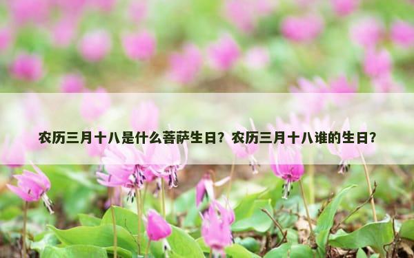 农历三月十八是什么菩萨生日？农历三月十八谁的生日？