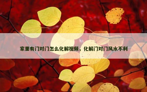 家里有门对门怎么化解视频，化解门对门风水不利