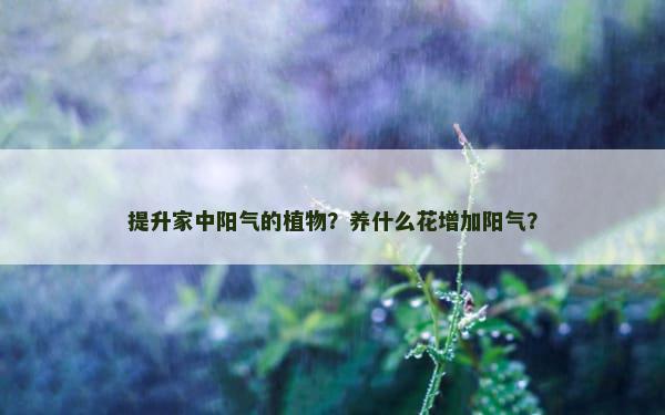 提升家中阳气的植物？养什么花增加阳气？