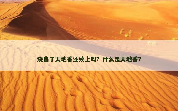 烧出了天地香还续上吗？什么是天地香？