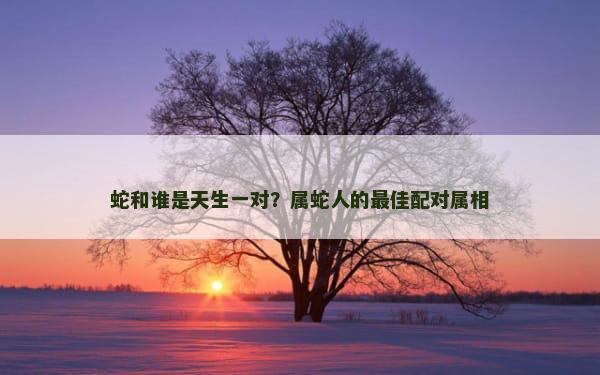 蛇和谁是天生一对？属蛇人的最佳配对属相