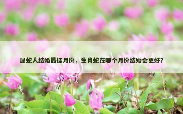 属蛇人结婚最佳月份，生肖蛇在哪个月份结婚会更好？