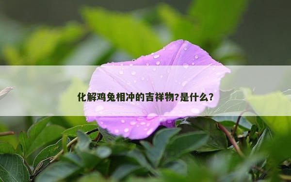 化解鸡兔相冲的吉祥物?是什么？