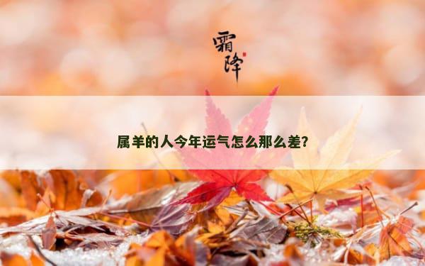 属羊的人今年运气怎么那么差？