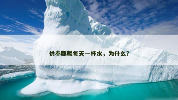供奉麒麟每天一杯水，为什么？