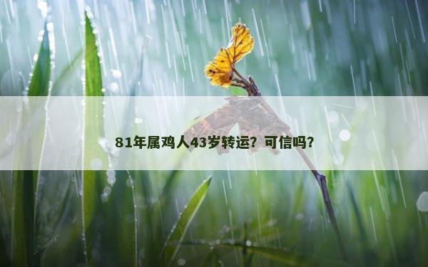 81年属鸡人43岁转运？可信吗？