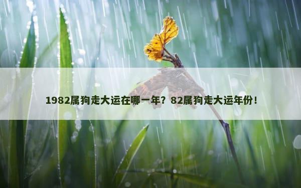 1982属狗走大运在哪一年？82属狗走大运年份！
