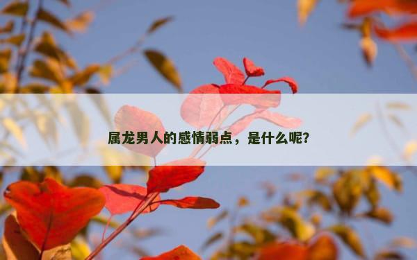 属龙男人的感情弱点，是什么呢？
