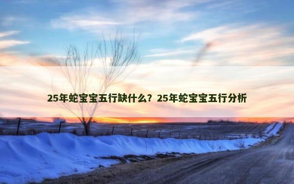 25年蛇宝宝五行缺什么？25年蛇宝宝五行分析