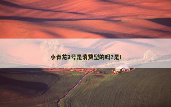 小青龙2号是消费型的吗?是!