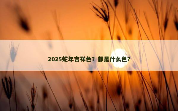 2025蛇年吉祥色？都是什么色？