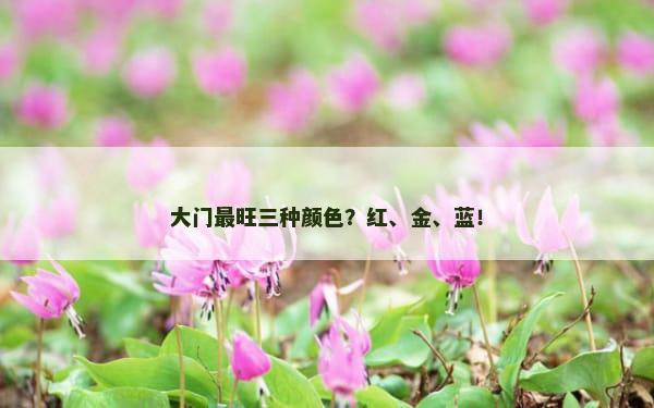 大门最旺三种颜色？红、金、蓝！