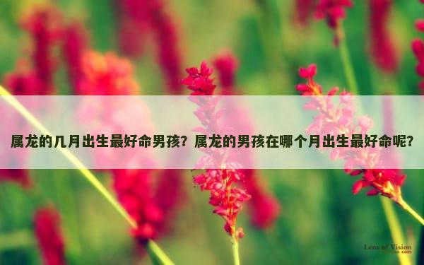 属龙的几月出生最好命男孩？属龙的男孩在哪个月出生最好命呢？