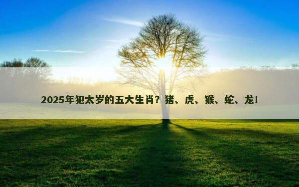 2025年犯太岁的五大生肖？猪、虎、猴、蛇、龙！