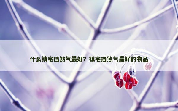 什么镇宅挡煞气最好？镇宅挡煞气最好的物品