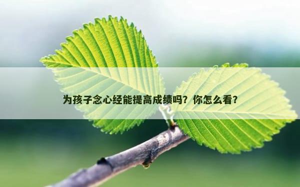 为孩子念心经能提高成绩吗？你怎么看？