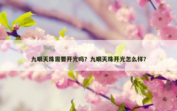 九眼天珠需要开光吗？九眼天珠开光怎么样？