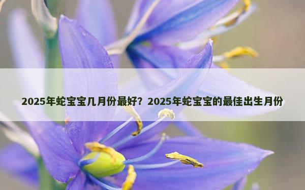2025年蛇宝宝几月份最好？2025年蛇宝宝的最佳出生月份
