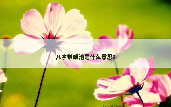 八字带咸池是什么意思？