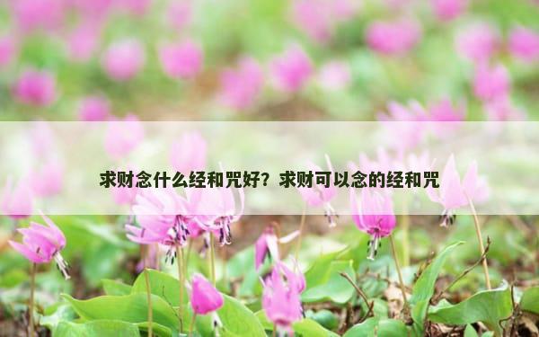 求财念什么经和咒好？求财可以念的经和咒