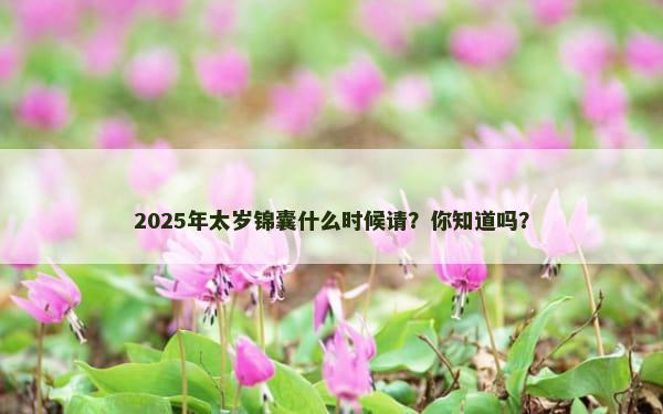 2025年太岁锦囊什么时候请？你知道吗？