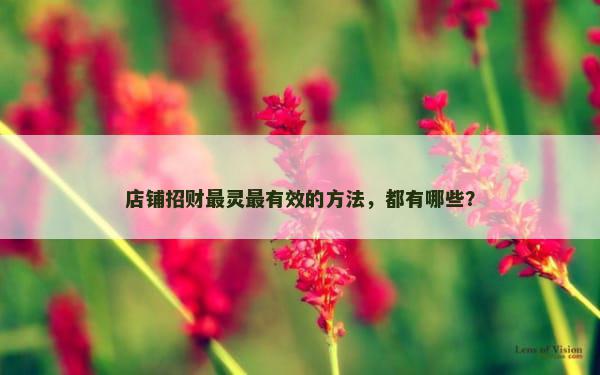 店铺招财最灵最有效的方法，都有哪些？
