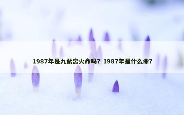 1987年是九紫离火命吗？1987年是什么命？