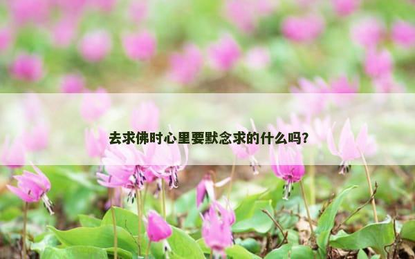 去求佛时心里要默念求的什么吗？