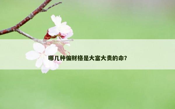 哪几种偏财格是大富大贵的命？