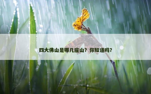 四大佛山是哪几座山？你知道吗？