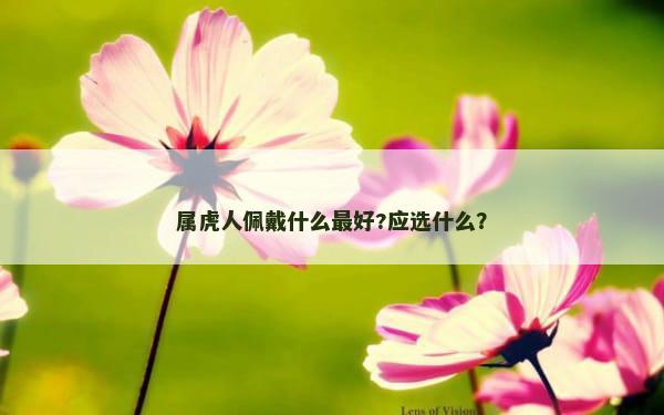 属虎人佩戴什么最好?应选什么？