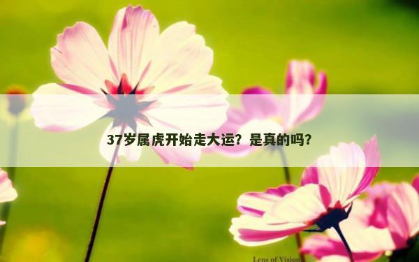 37岁属虎开始走大运？是真的吗？