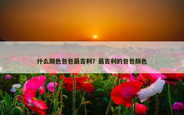 什么颜色包包最吉利？最吉利的包包颜色