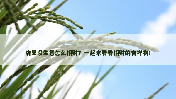 店里没生意怎么招财？一起来看看招财的吉祥物！