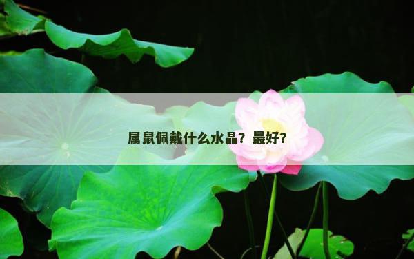 属鼠佩戴什么水晶？最好？