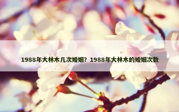 1988年大林木几次婚姻？1988年大林木的婚姻次数