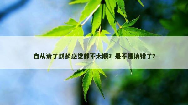 自从请了麒麟感觉都不太顺？是不是请错了？