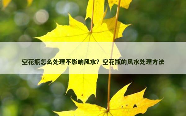 空花瓶怎么处理不影响风水？空花瓶的风水处理方法