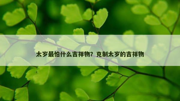 太岁最怕什么吉祥物？克制太岁的吉祥物