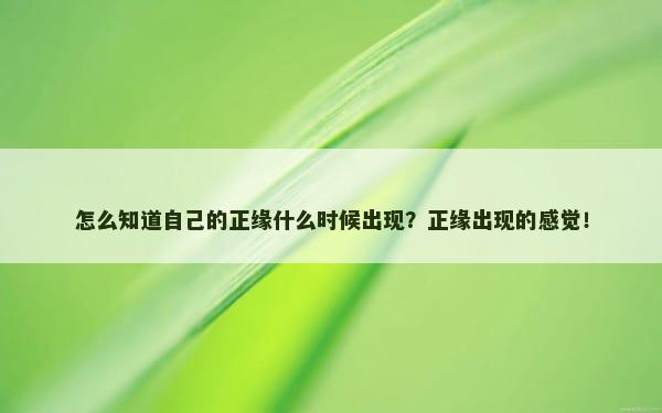 怎么知道自己的正缘什么时候出现？正缘出现的感觉！
