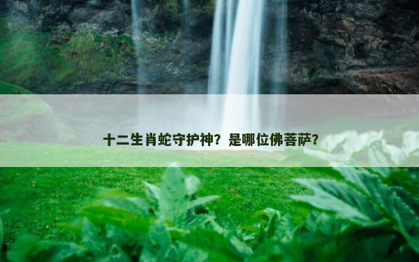 十二生肖蛇守护神？是哪位佛菩萨？