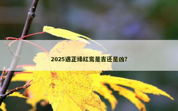 2025遇正缘红鸾是吉还是凶？