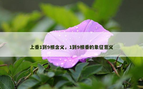上香1到9根含义，1到9根香的象征意义