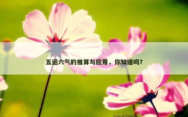 五运六气的推算与应用，你知道吗？