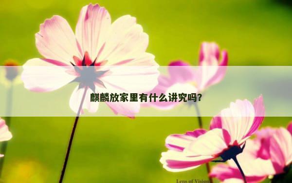 麒麟放家里有什么讲究吗？