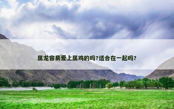 属龙容易爱上属鸡的吗?适合在一起吗?