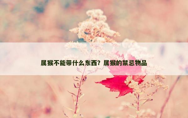属猴不能带什么东西？属猴的禁忌物品
