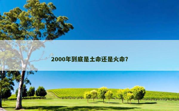 2000年到底是土命还是火命？