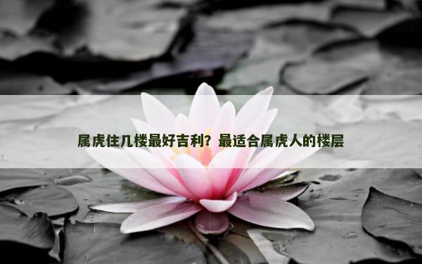 属虎住几楼最好吉利？最适合属虎人的楼层