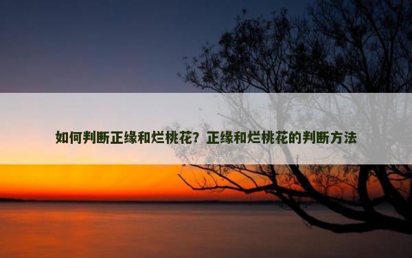 如何判断正缘和烂桃花？正缘和烂桃花的判断方法